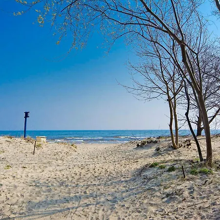 Bay Of *